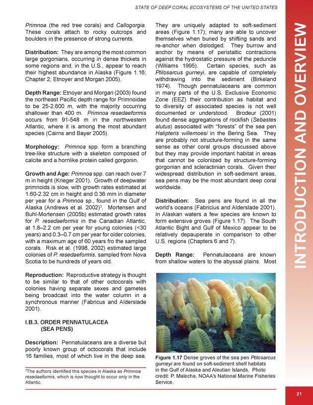 The state of deep coral ecosystems of the United States : 2007 - Page 21