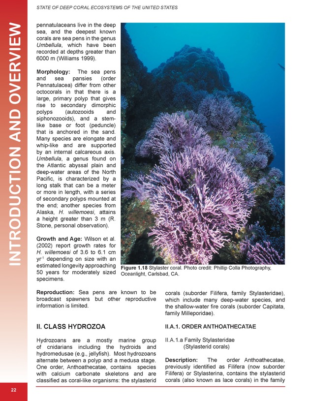 The state of deep coral ecosystems of the United States : 2007 - Page 22