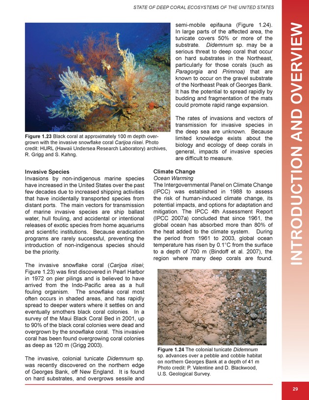 The state of deep coral ecosystems of the United States : 2007 - Page 29