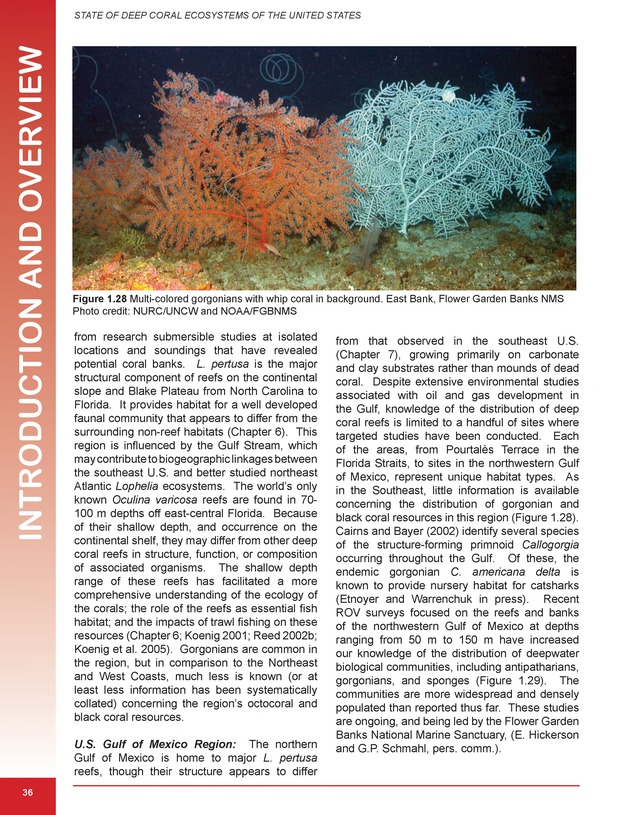 The state of deep coral ecosystems of the United States : 2007 - Page 36