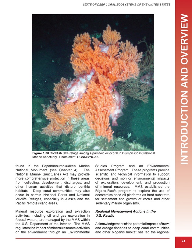 The state of deep coral ecosystems of the United States : 2007 - Page 41