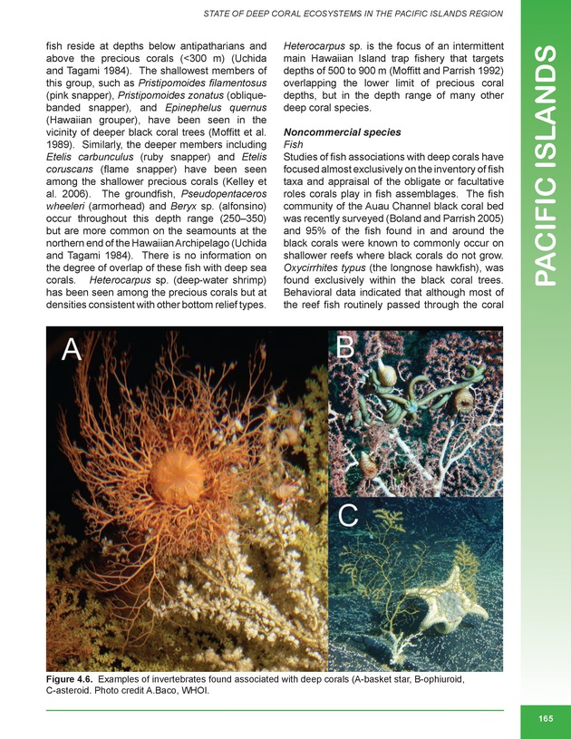 The state of deep coral ecosystems of the United States : 2007 - Page 165