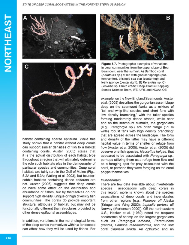 The state of deep coral ecosystems of the United States : 2007 - Page 210