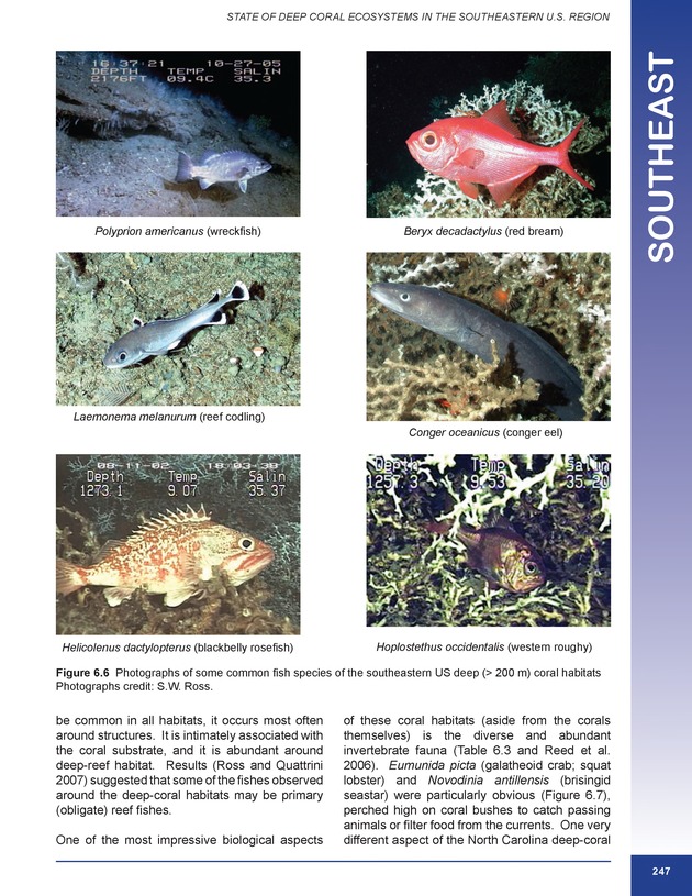 The state of deep coral ecosystems of the United States : 2007 - Page 247