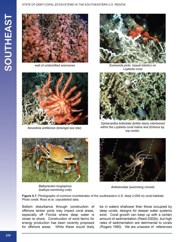 The state of deep coral ecosystems of the United States : 2007 - Page 250