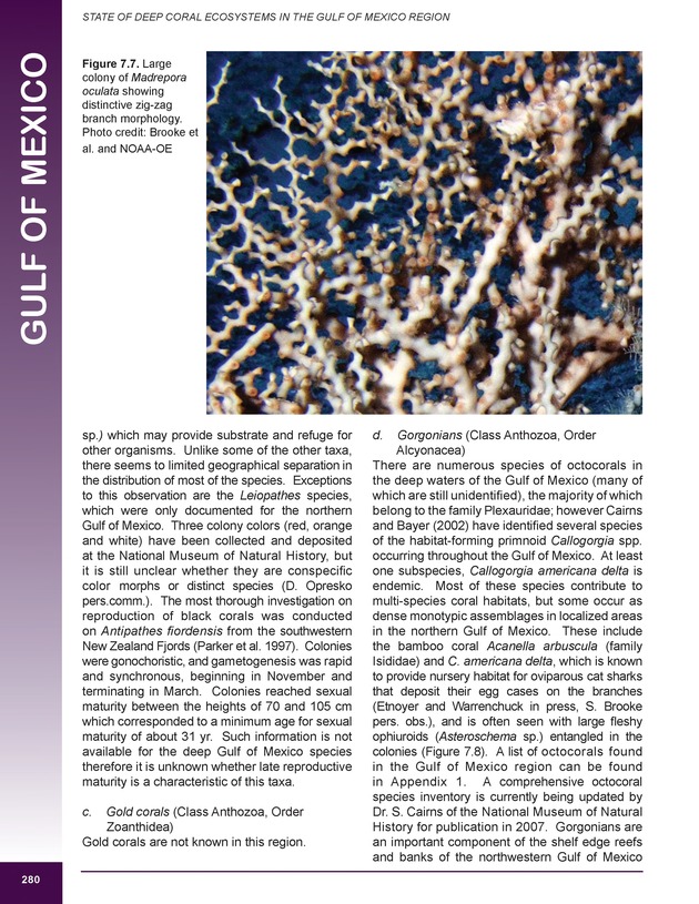 The state of deep coral ecosystems of the United States : 2007 - Page 280