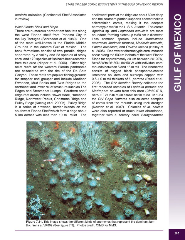 The state of deep coral ecosystems of the United States : 2007 - Page 285