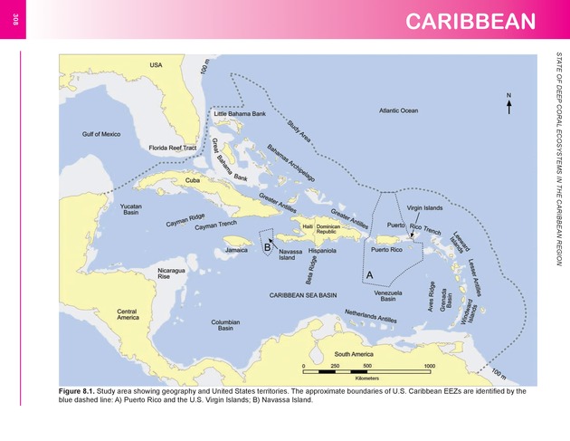 The state of deep coral ecosystems of the United States : 2007 - Page 308