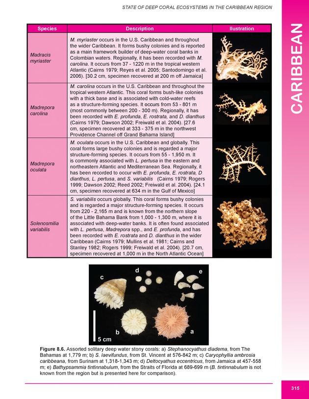 The state of deep coral ecosystems of the United States : 2007 - Page 315