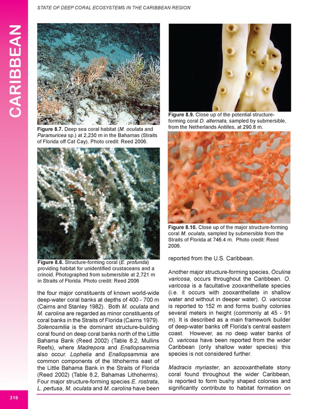 The state of deep coral ecosystems of the United States : 2007 - Page 316