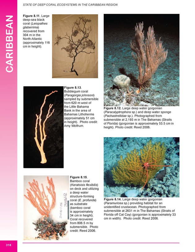 The state of deep coral ecosystems of the United States : 2007 - Page 318