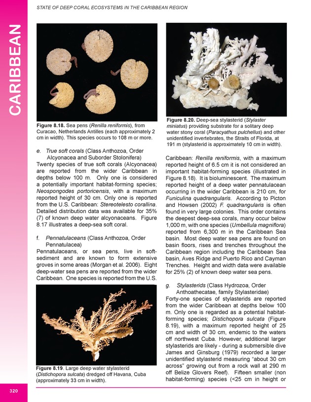 The state of deep coral ecosystems of the United States : 2007 - Page 320