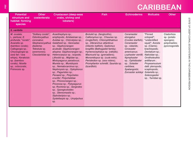 The state of deep coral ecosystems of the United States : 2007 - Page 364