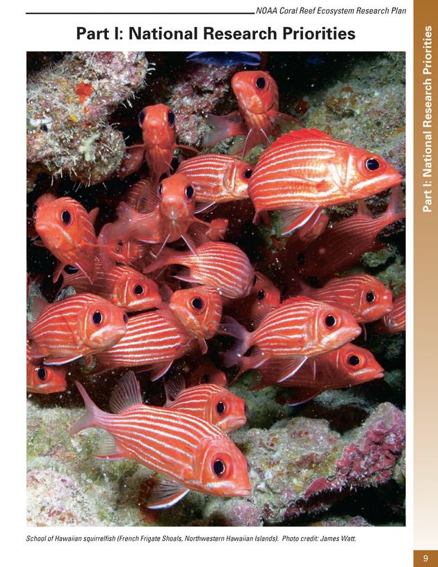 Coral reef ecosystem research plan for fiscal years 2007-2011 - Page 9