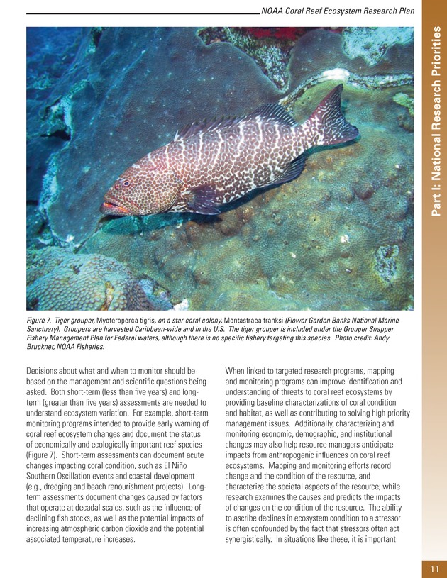 Coral reef ecosystem research plan for fiscal years 2007-2011 - Page 11