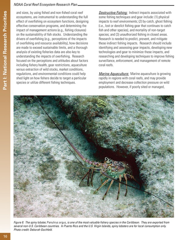 Coral reef ecosystem research plan for fiscal years 2007-2011 - Page 16