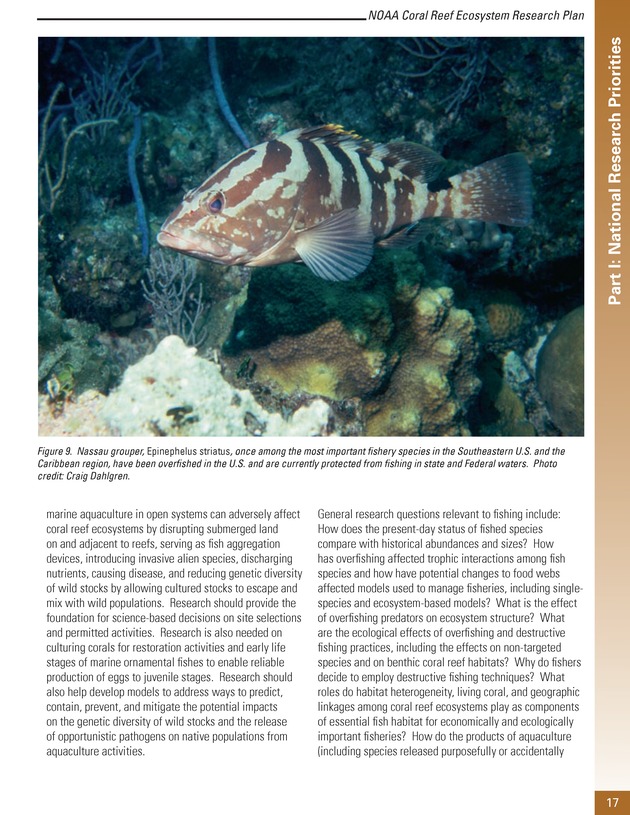 Coral reef ecosystem research plan for fiscal years 2007-2011 - Page 17