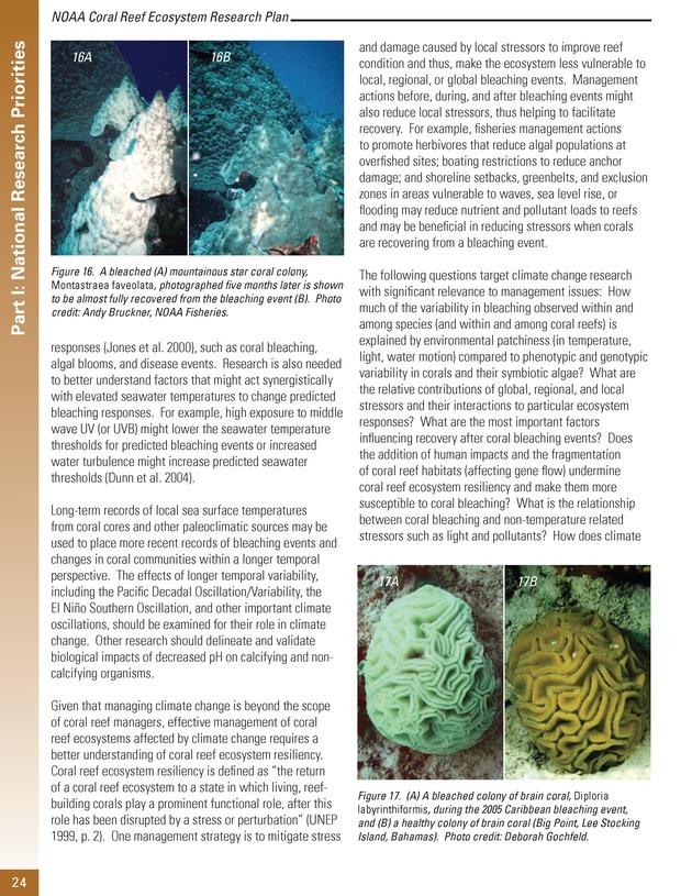 Coral reef ecosystem research plan for fiscal years 2007-2011 - Page 24