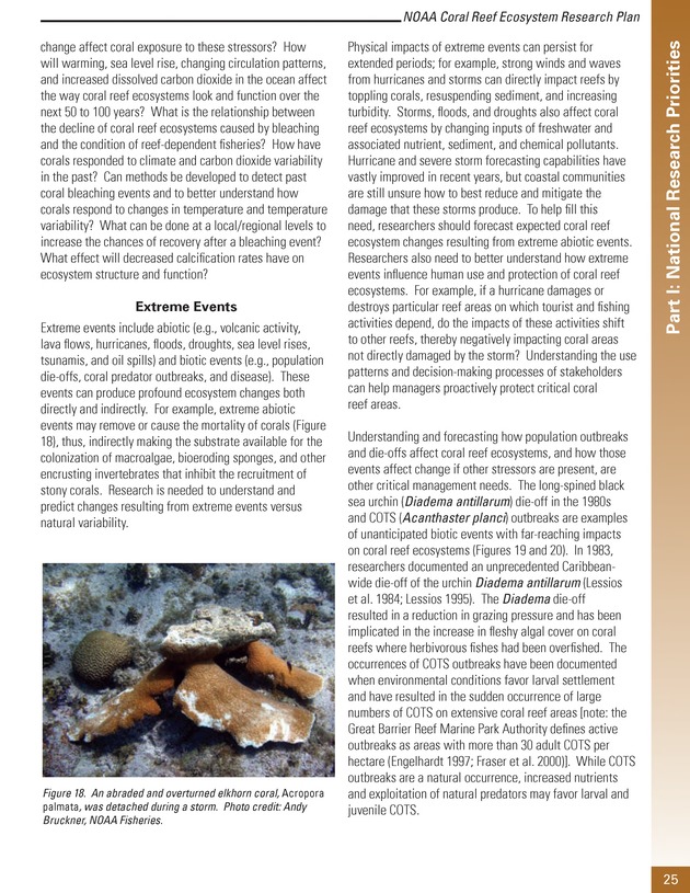 Coral reef ecosystem research plan for fiscal years 2007-2011 - Page 25