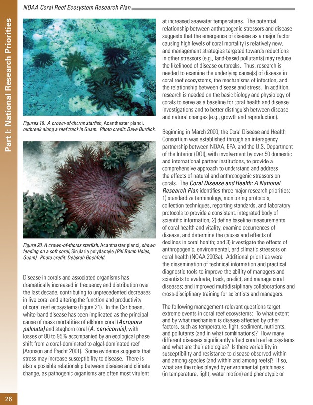 Coral reef ecosystem research plan for fiscal years 2007-2011 - Page 26