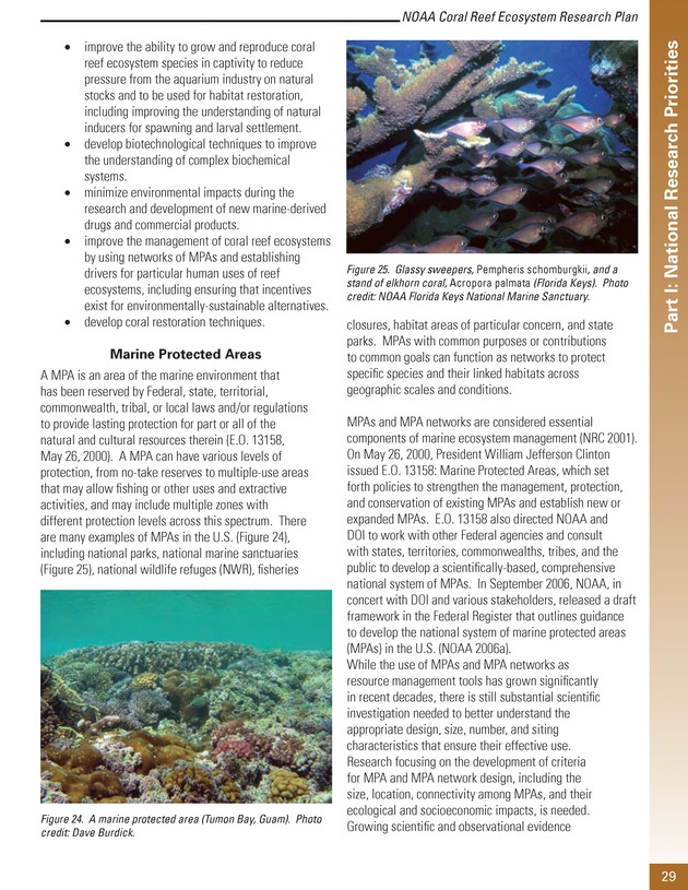 Coral reef ecosystem research plan for fiscal years 2007-2011 - Page 29