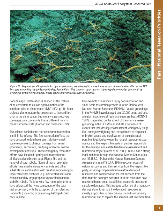 Coral reef ecosystem research plan for fiscal years 2007-2011 - Page 31