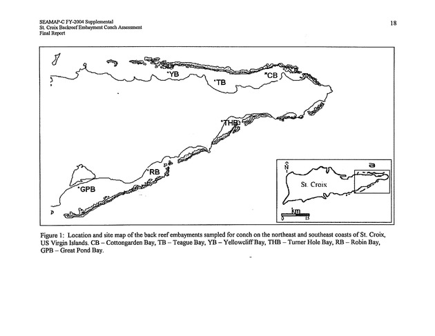 Assessment of conch densities in backreef embayments on the northeast and southeast coast of St. Croix, U.S. Virgin Islands - Page 18