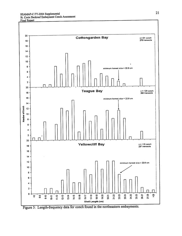 Assessment of conch densities in backreef embayments on the northeast and southeast coast of St. Croix, U.S. Virgin Islands - Page 21