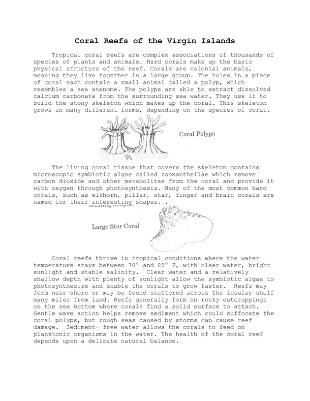 Coral Reefs of the Virgin Islands - Page 1