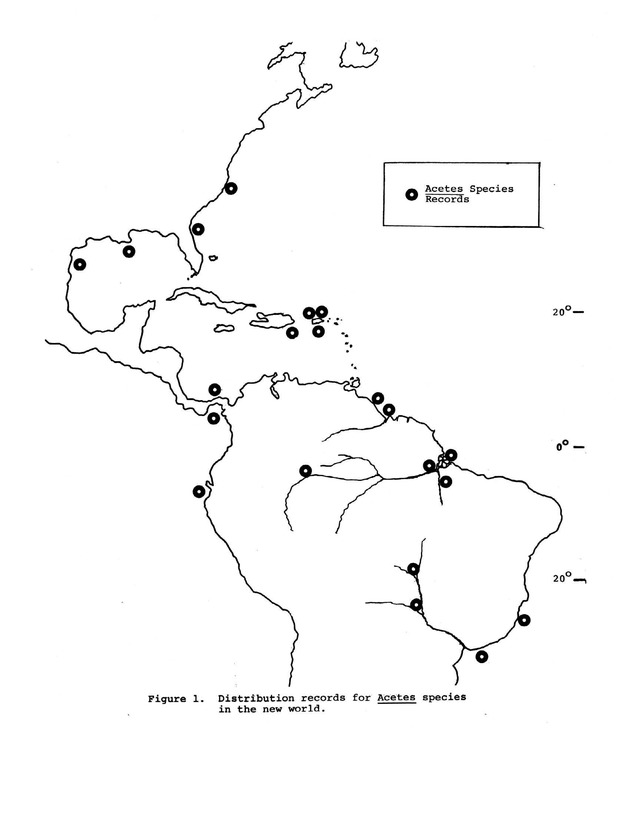 Ecology and potential economic importance of shrimp of the genus Acetes in the Caribbean - Page 4a