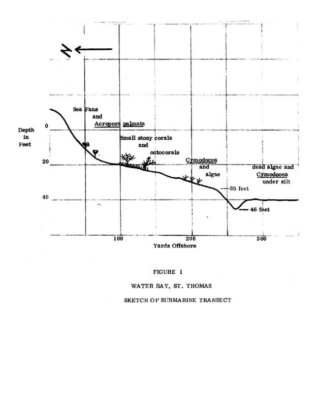 Effects of dredging in Water Bay, St. Thomas - Page 12