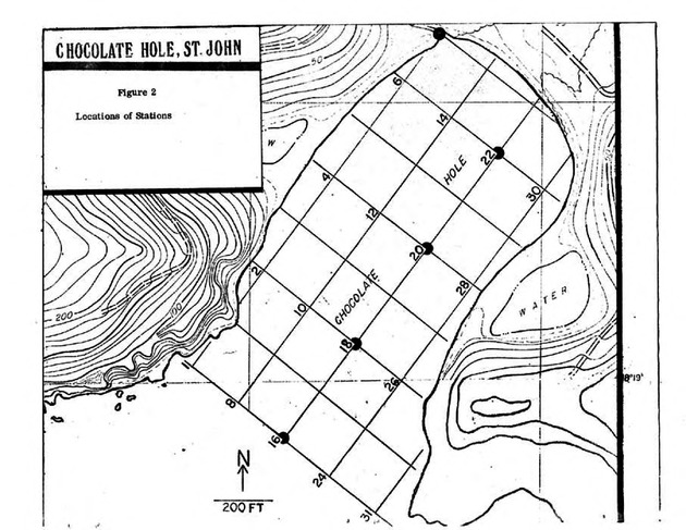 The status of water quality in Cruz Bay and Chocolate Hole, St. John - Page 7