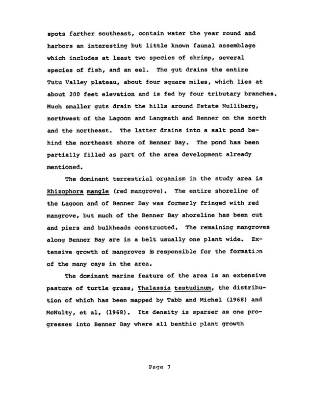 Water quality and environmental status of Benner Bay-Mangrove Lagoon, St. Thomas - Page 7