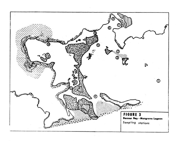 Water quality and environmental status of Benner Bay-Mangrove Lagoon, St. Thomas - Page 60