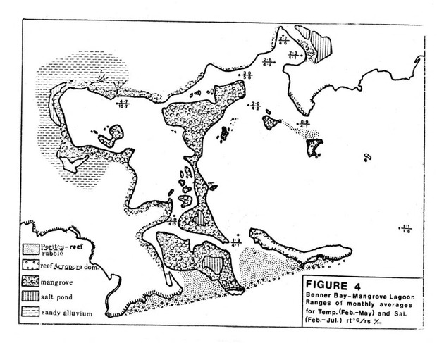 Water quality and environmental status of Benner Bay-Mangrove Lagoon, St. Thomas - Page 61