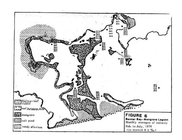 Water quality and environmental status of Benner Bay-Mangrove Lagoon, St. Thomas - Page 63