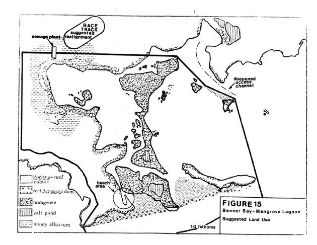 Water quality and environmental status of Benner Bay-Mangrove Lagoon, St. Thomas - Page 72