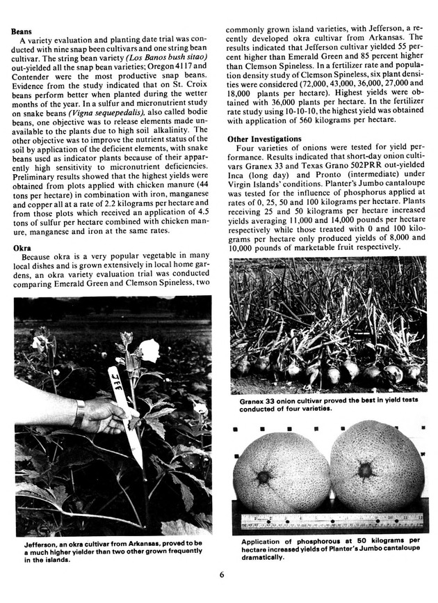 Report: Agricultural Experiment Station--Cooperative Extension Service 1981-1982 - Page 6