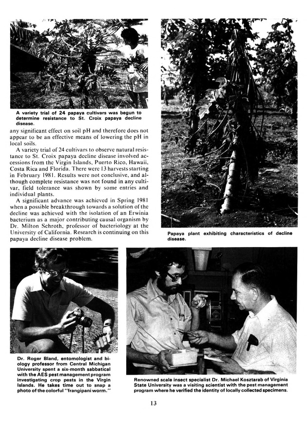 Report: Agricultural Experiment Station--Cooperative Extension Service 1981-1982 - Page 13