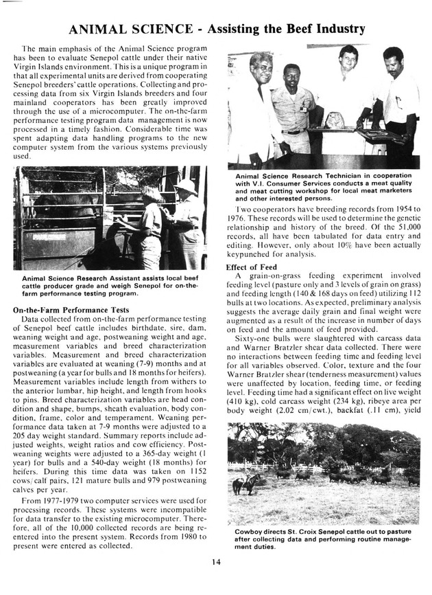 Report: Agricultural Experiment Station--Cooperative Extension Service 1981-1982 - Page 14