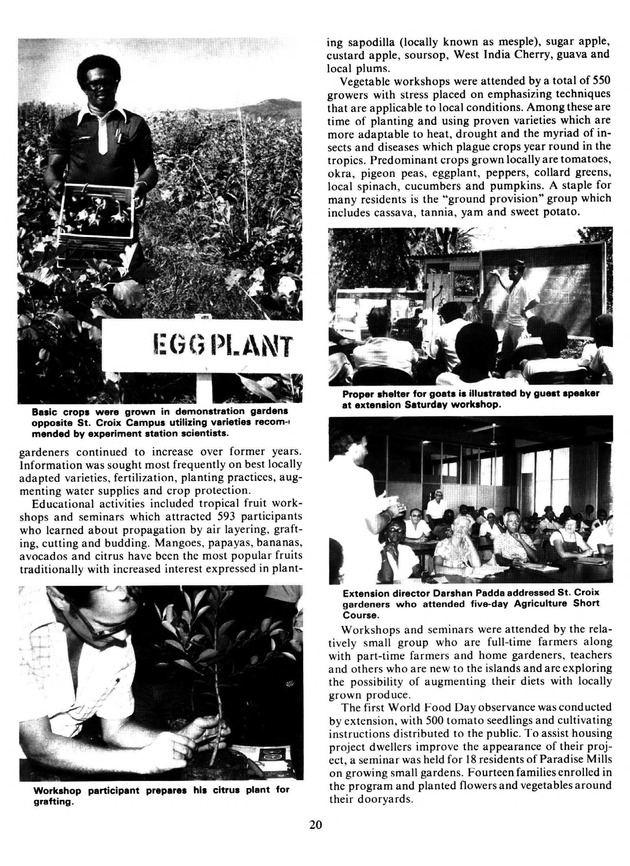 Report: Agricultural Experiment Station--Cooperative Extension Service 1981-1982 - Page 20