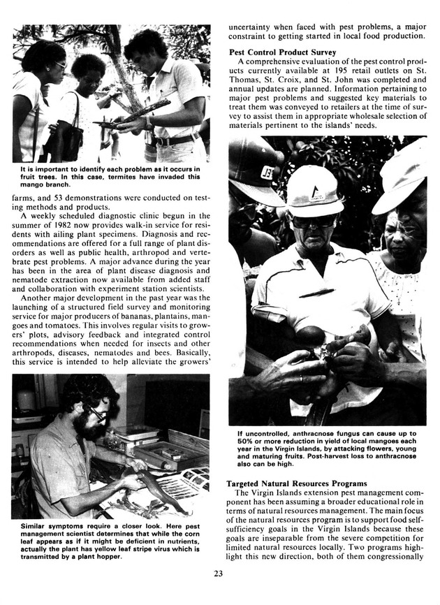 Report: Agricultural Experiment Station--Cooperative Extension Service 1981-1982 - Page 23