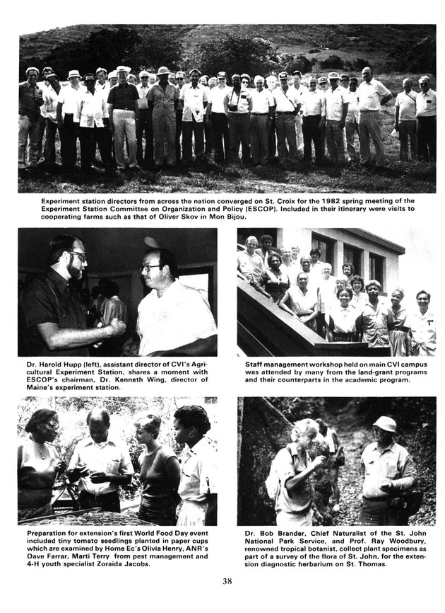 Report: Agricultural Experiment Station--Cooperative Extension Service 1981-1982 - Page 38