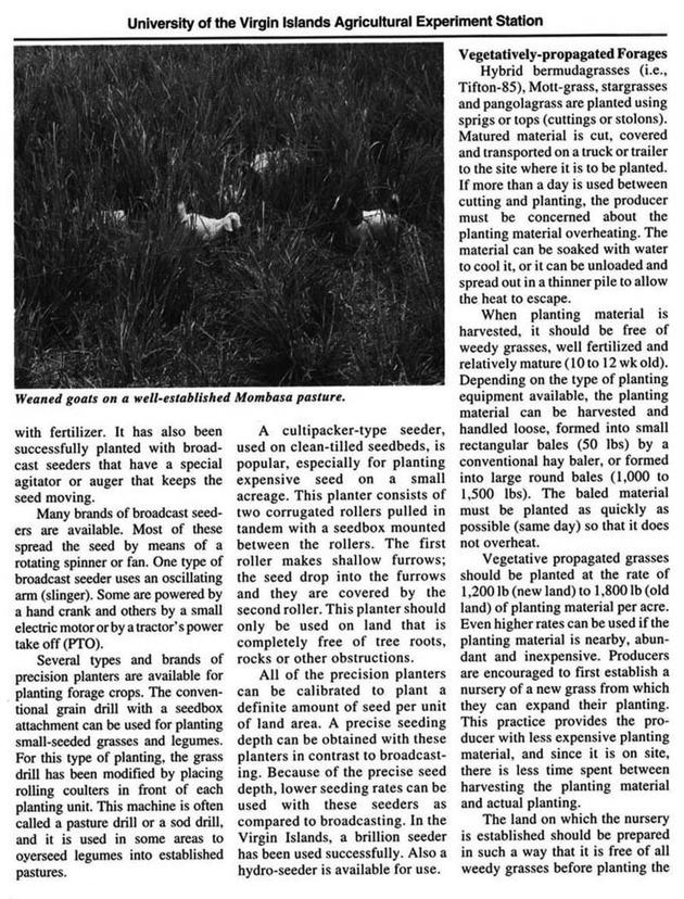 Pasture establishment in the U.S. Virgin Islands - Page 3