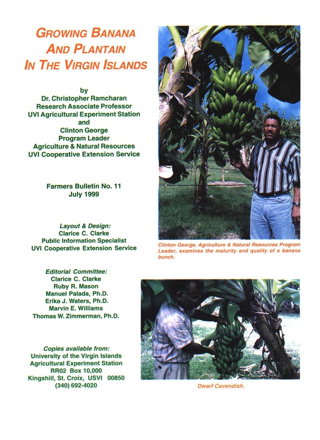 Growing banana and plantain in the Virgin Islands - Page 1