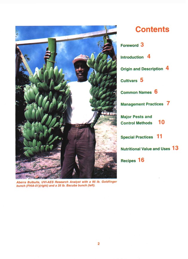 Growing banana and plantain in the Virgin Islands - Page 2