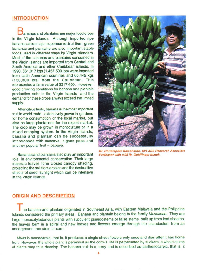 Growing banana and plantain in the Virgin Islands - Page 4