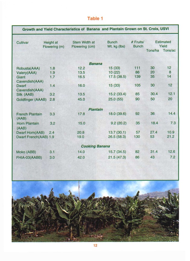 Growing banana and plantain in the Virgin Islands - Page 12