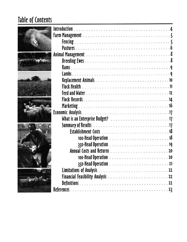 Hair sheep production in the U.S. Virgin Islands - Page 3