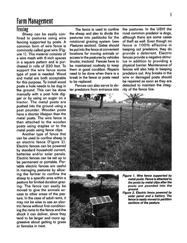 Hair sheep production in the U.S. Virgin Islands - Page 5